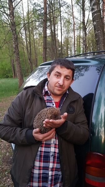   ,   , 43 ,   ,   , c , 