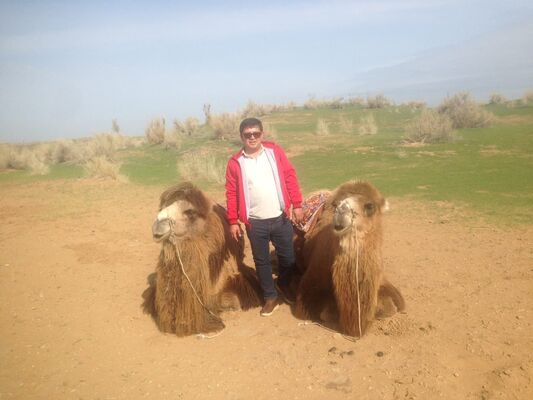  ,   Alisher, 36 ,   ,   , c 