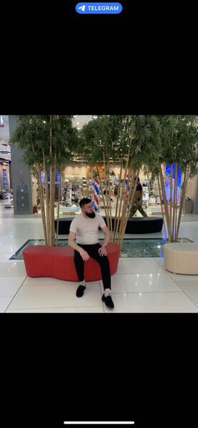  ,   Navruz, 28 ,   ,   