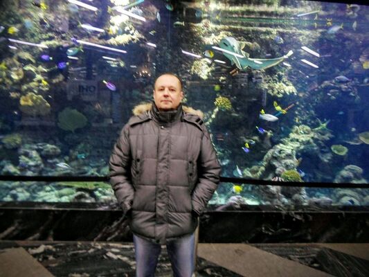 ,   Viktor, 65 ,     , c 