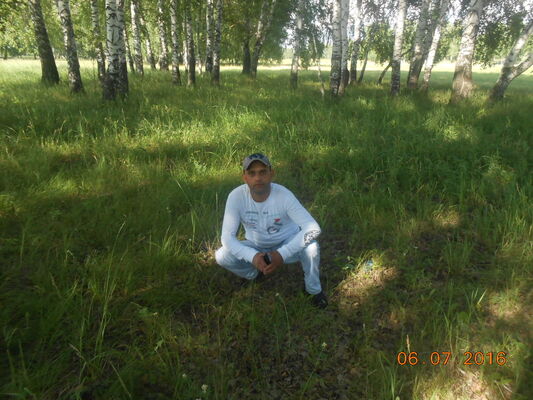  -,   , 43 ,   