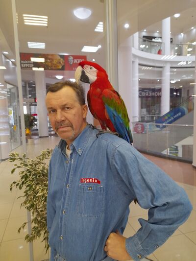  ,   , 56 ,   ,   