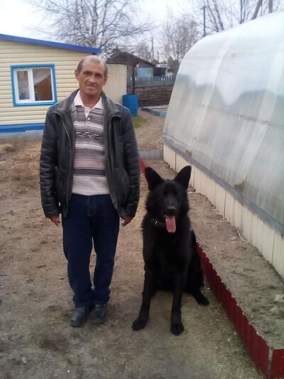  ,   , 55 ,   