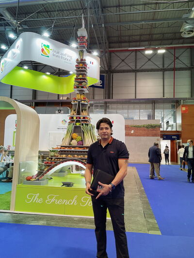  Tarragona,   Maro, 40 ,   ,   