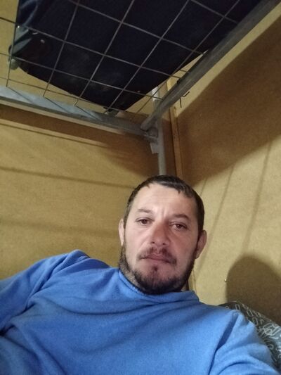  ,   , 41 ,  