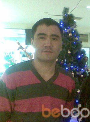  ,   Asske_1982, 43 ,  