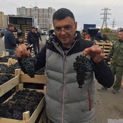  ,   , 49 ,   ,   , c 
