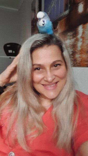  ,   , 51 ,   c , 
