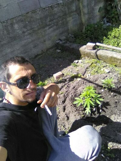  ,   Grisha, 34 ,   ,   , c 