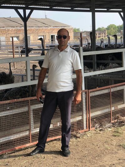  ,   Mko, 43 ,   ,   
