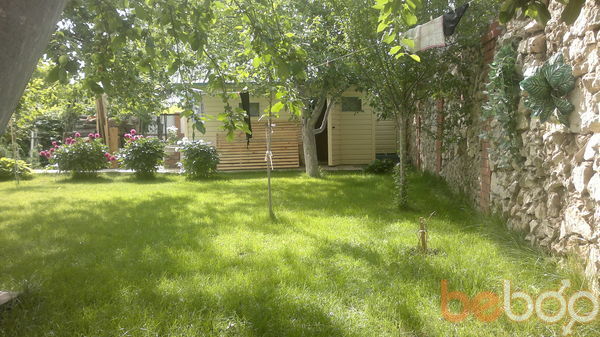 ���������� ��������, ���� ������� ����, 41 ���, ������������ ��� ������, ����� � ���������, c�������� ���������