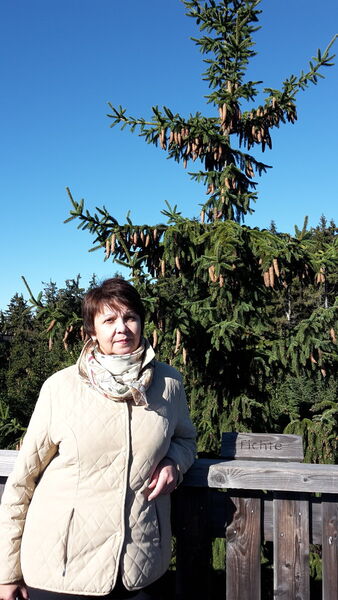  ,   , 66 ,   ,   , c 