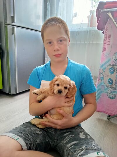  ,   , 21 ,   ,   , 