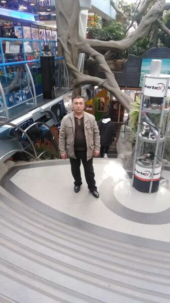  ,   , 53 ,   ,   