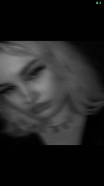  -,   , 24 ,   ,   