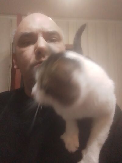  ,   , 38 ,   ,   