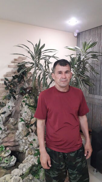  ,   Ibo, 50 ,   ,   