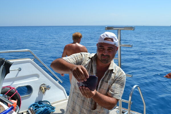  ,   , 50 ,   ,   , c 