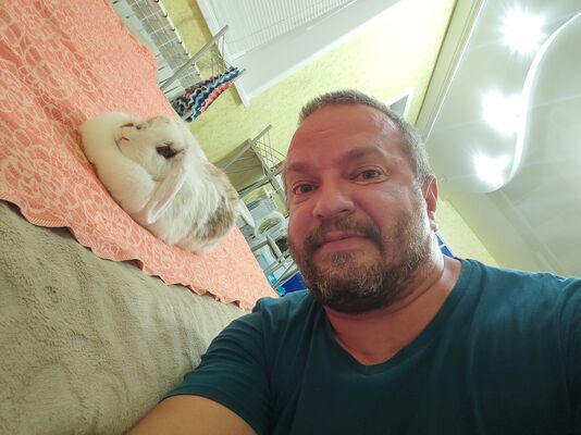  ,   , 48 ,   ,   , c , 