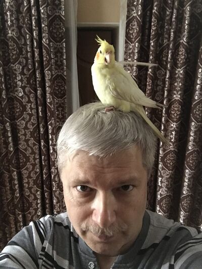  ,   , 55 ,  