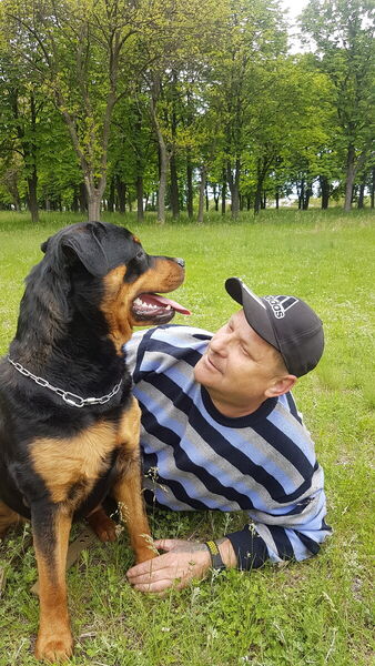  Grodzisk Wielkopolski,   , 54 ,     , c 