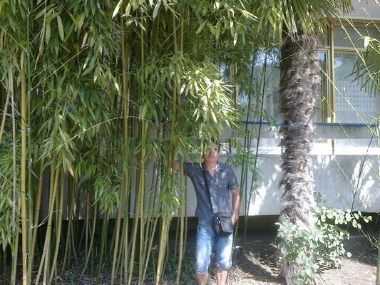  ,   AlEx, 44 ,   ,   , c 