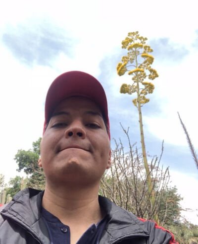  ,   Hector, 39 ,   ,   , c , 