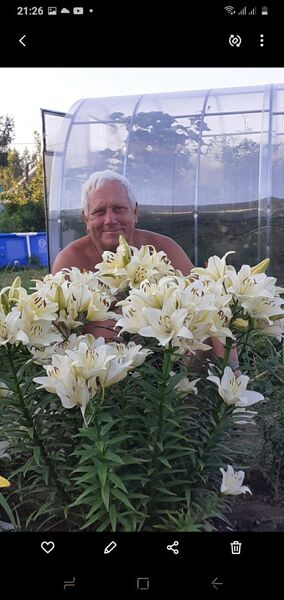  ,   , 67 ,   ,   