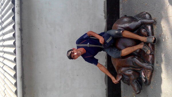  ,   , 51 ,   ,   , c , 