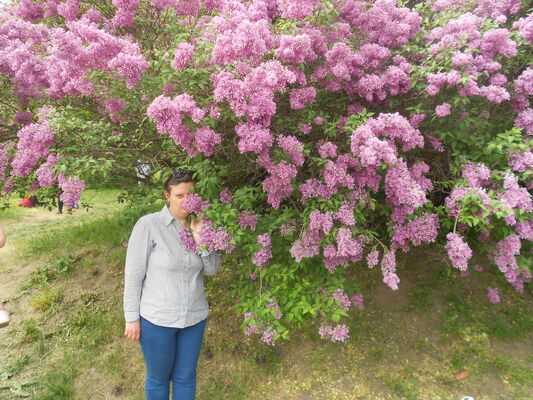  ,   , 40 ,     , c 
