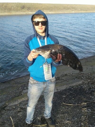  ,   Jackall17, 37 ,   
