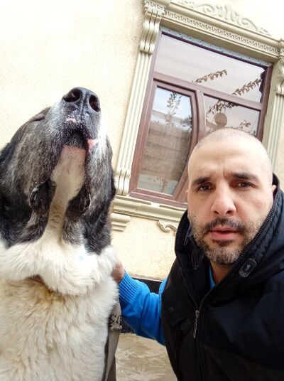  ,   , 40 ,   c 