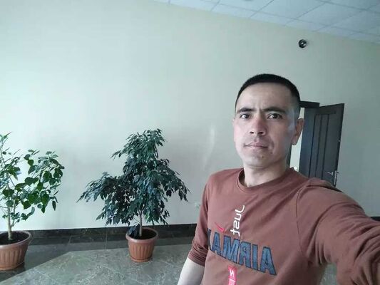  ,   ANVAR, 36 ,   ,   , c , 