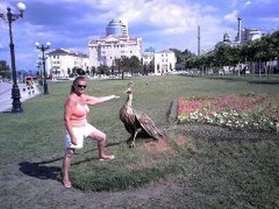 ���������� ��������, ���� ������� ���, 65 ���, ������������ ��� ������, ����� � ���������, c�������� ���������