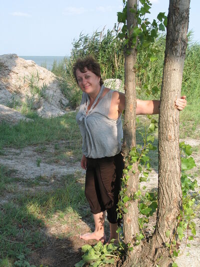 -,   , 53 ,   ,   , c 