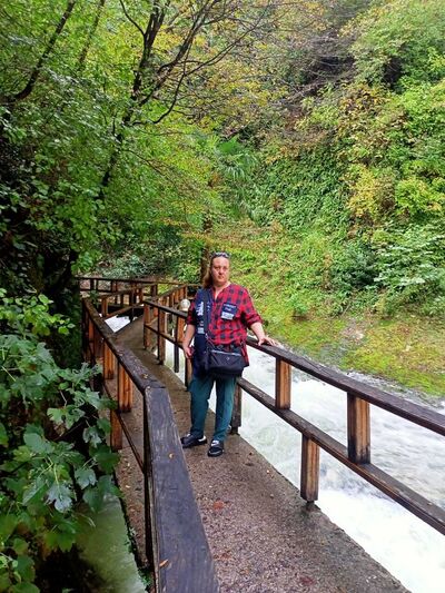  -,   , 41 ,   ,   , c 