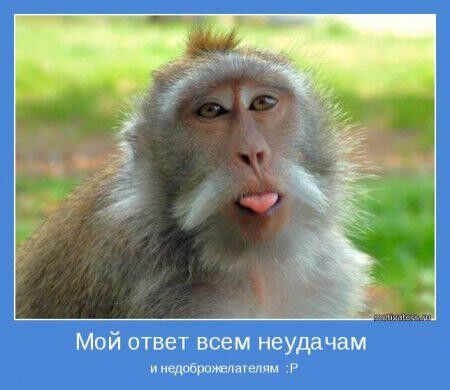  5980597  Sky573, 57 ,    