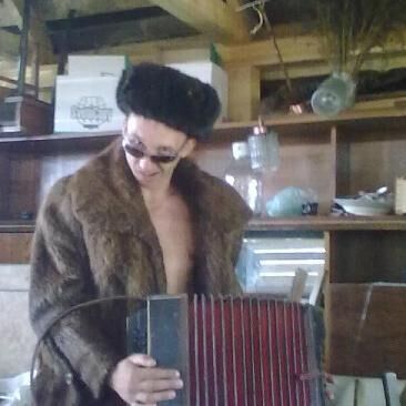  26113037  , 40 ,    -