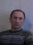  --,    , 55 ,   