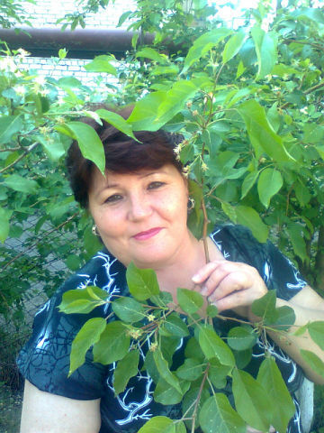  ,   , 62 ,   c 
