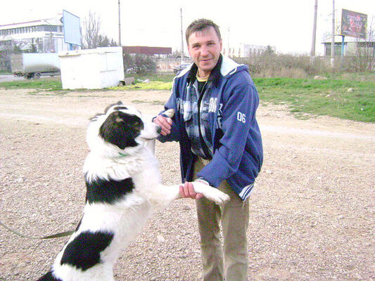  -,   , 61 ,   ,   , c , 