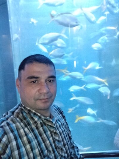  -,   , 40 ,   ,   , c 