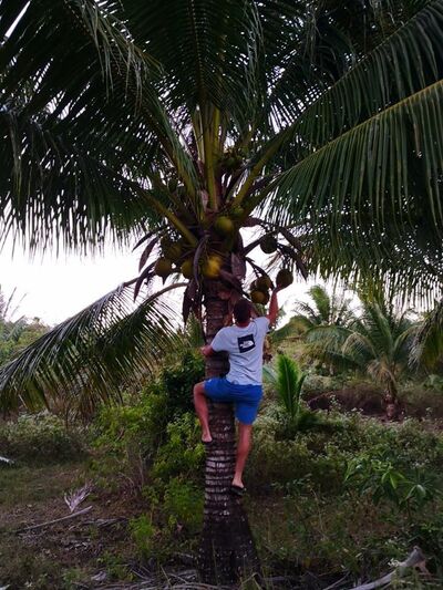  ,   Nerijus, 38 ,   ,   , c 
