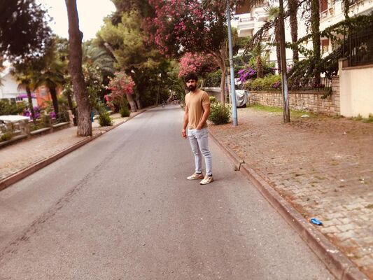  ,   Java, 31 ,   ,   , c , 