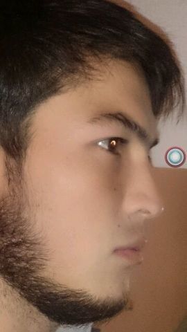  ,   ALIGATOR, 34 ,   ,   , c 