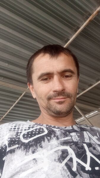  ,   Vladimir, 40 ,   ,   
