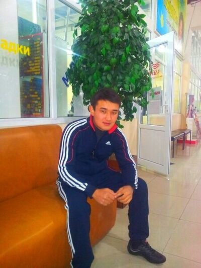  ,   Sultan, 33 ,   ,   , c 