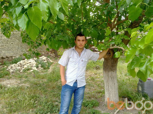  ,   Maga, 36 ,   ,   , c 