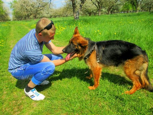  ,   VladislaV, 31 ,  