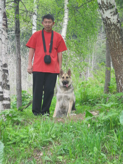  ,   , 53 ,   ,   , c 